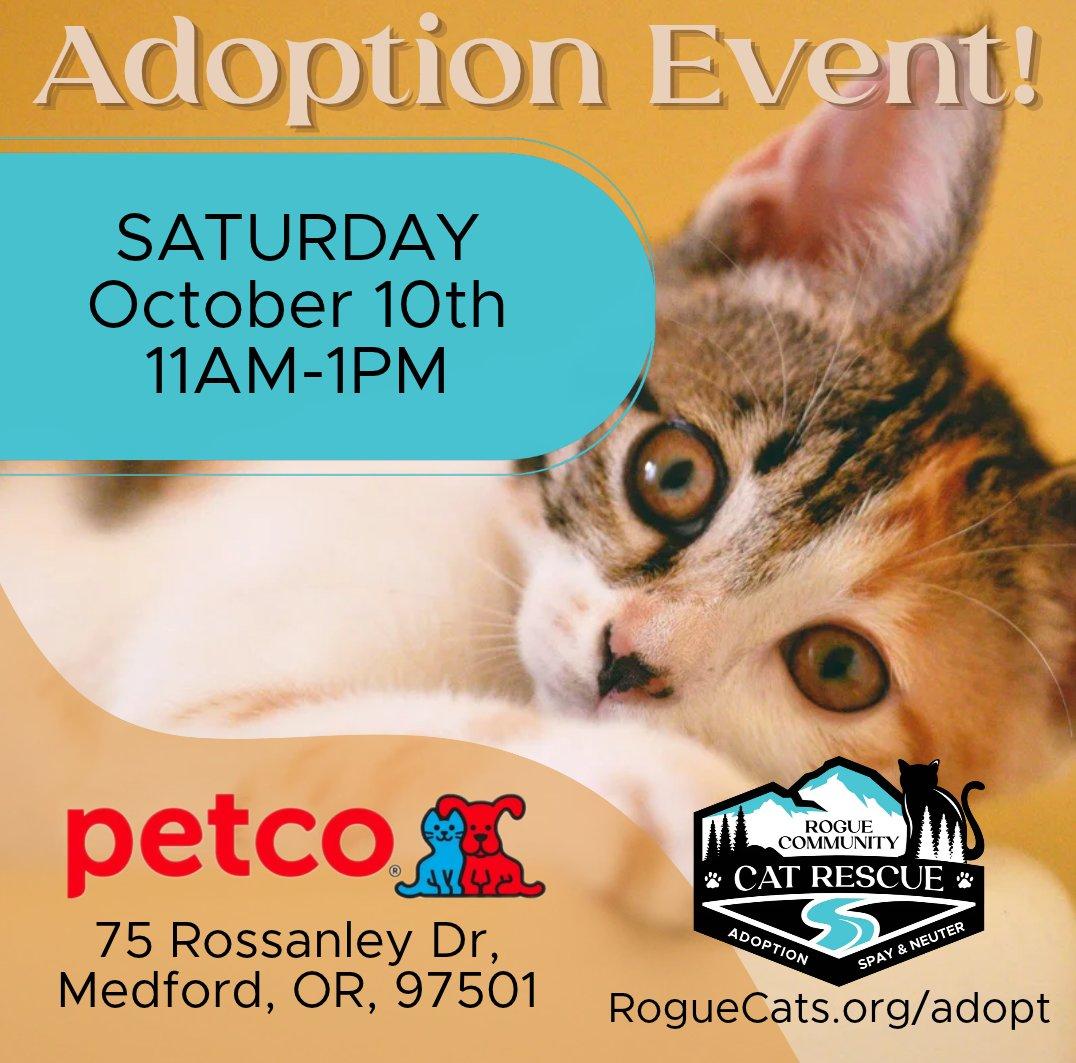 Imagen de Adoptions at Petco