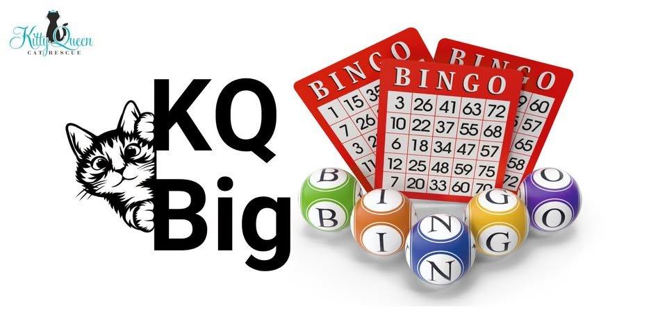 Imagen de KQ BIG Bingo